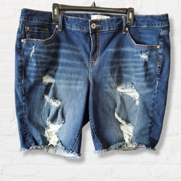 Torrid Boyfriend Shorts Distressed High 